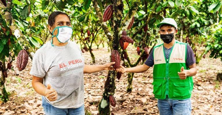 Representantes de una cooperativa cafetalera